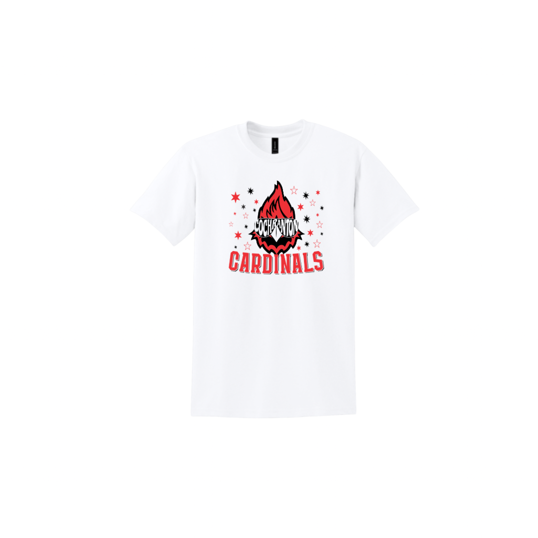 Cardinals Aviators