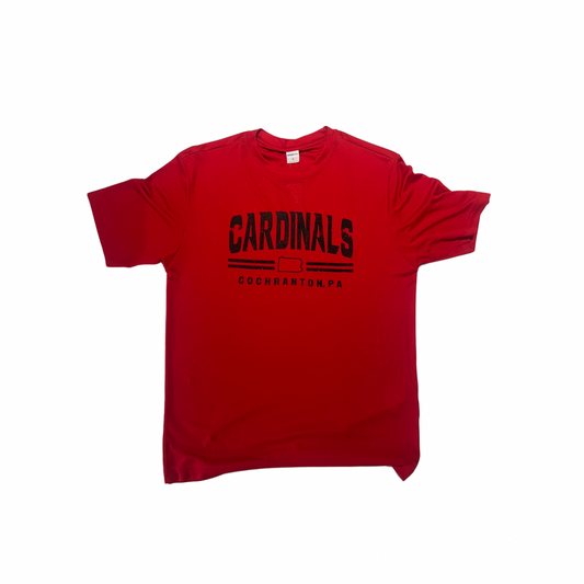 Cardinals Dryfit T-Shirt