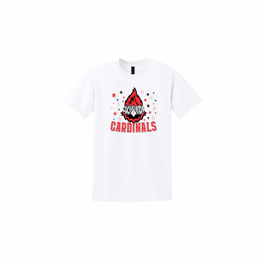 Cardinals Aviators